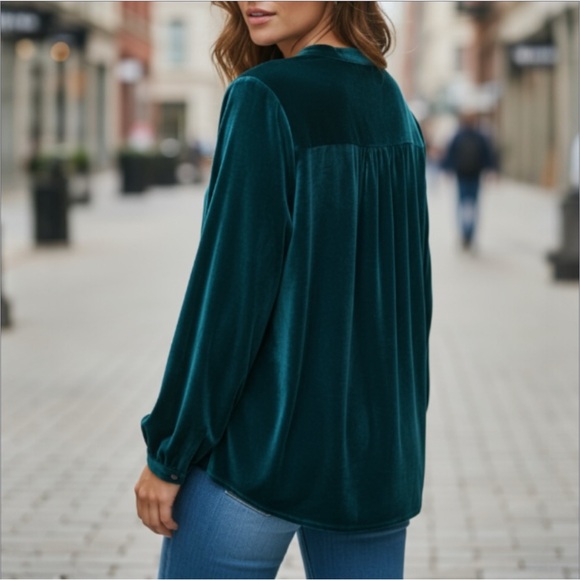 Bobi Los Angeles Jade Velvet Top Size Large - Picture 13 of 14